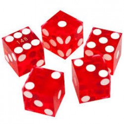 ООО ФорсЛакХолл