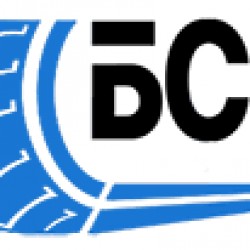 БелСпросШина